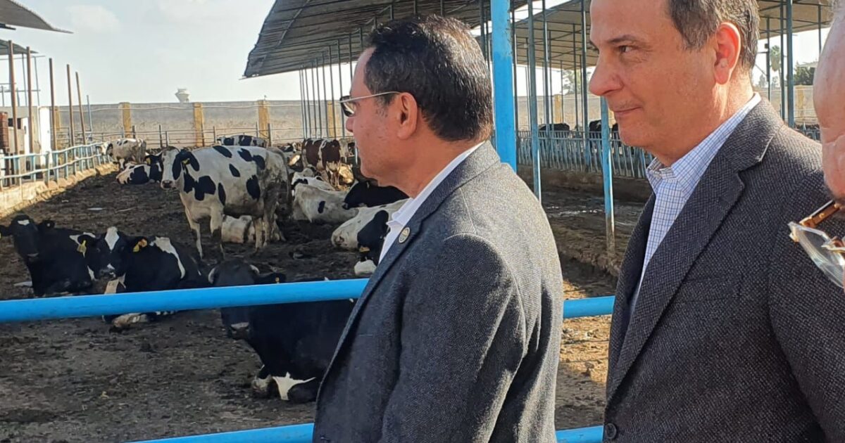 الأستاذ علاء فاروق رئيس البنك الزراعي المصري واللواء هشام الحصري رئيس لجنة الزراعة بمجلس النواب يتفقدان مزارع هيلثي